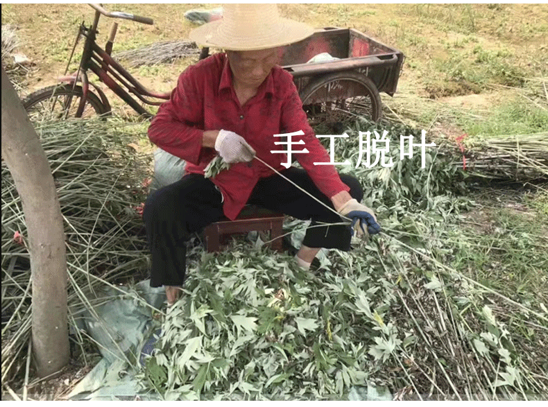 详情图---1_12.gif